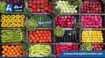 انخفاض ملحوظ في أسعار البصل والخضراوات بسوق العبور الخميس